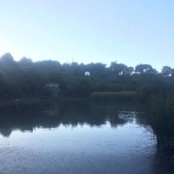 Adán Robayna en La Laguna de Valleseco con SwingStar.